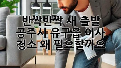 ✨반짝반짝 새 출발! 공주시 유구읍 이사 청소, 왜 필요할까요?🏡